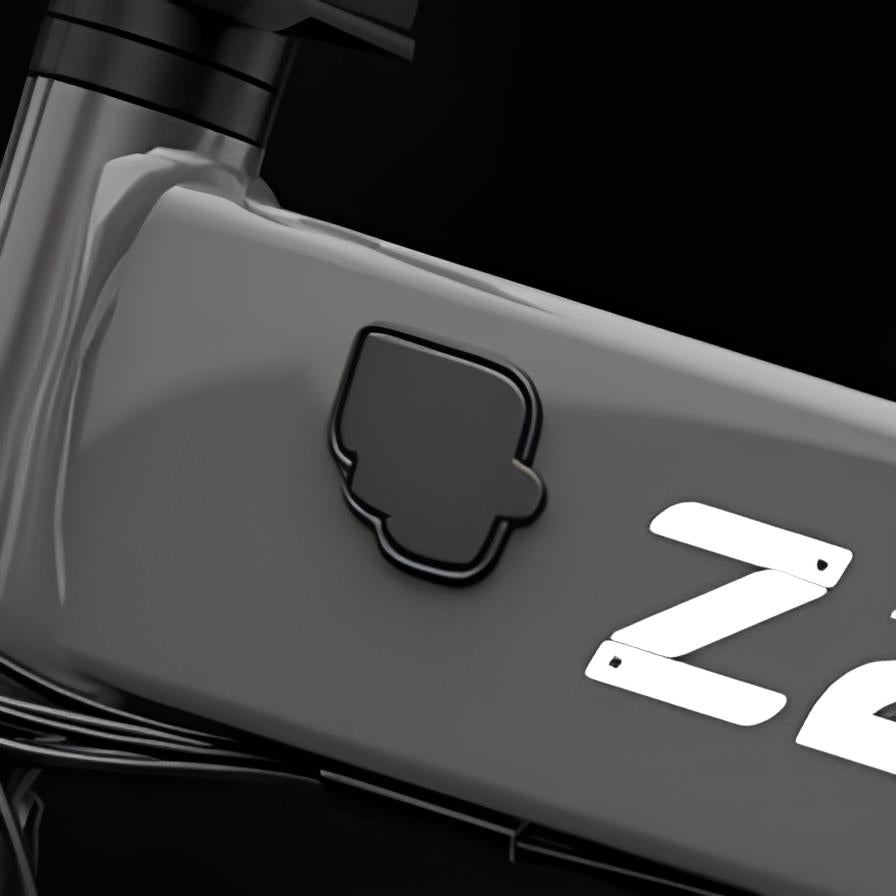 Z20 PRO laddningsportsskydd